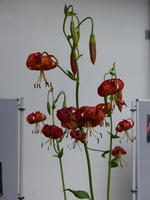 Foto: Dr. Peter Müller